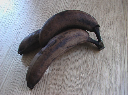 IMGA0024