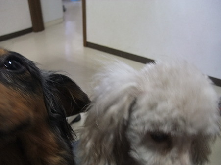 病院でも甘えんぼー’S