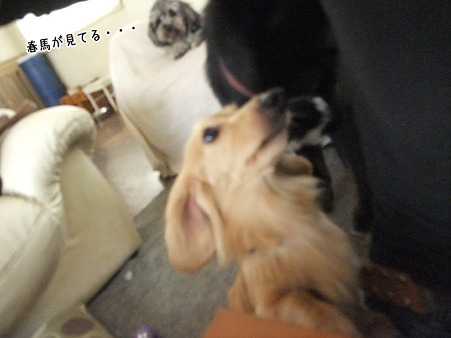 っていうか、睨んでる?!