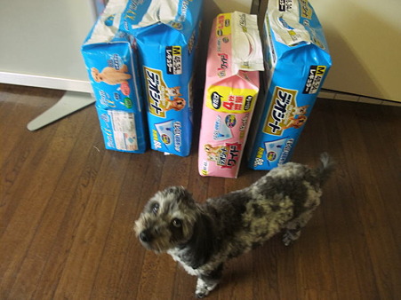 これで、次の準備はバッチリ?!