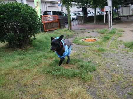 やっほーー