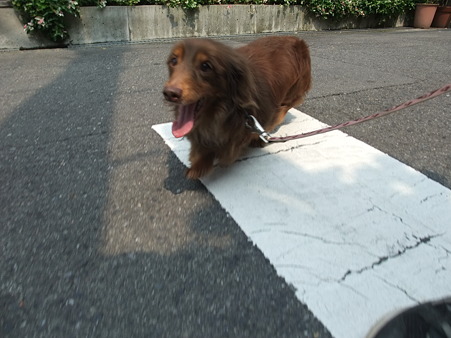 やっぱり開いてる・・・
