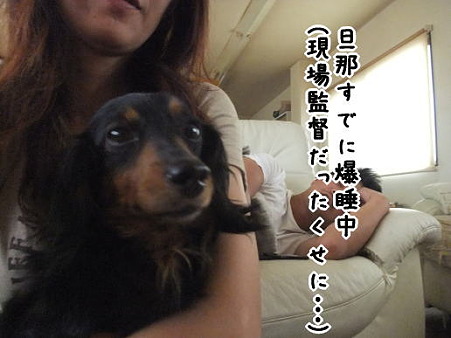ルナとまったり