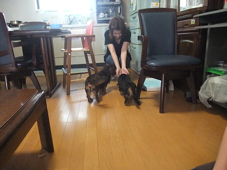 お母さんに呼ばれ、飛んでいく2頭