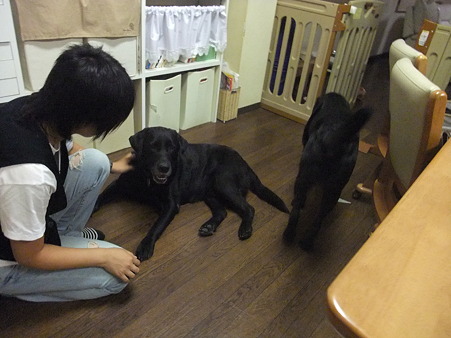 ボール投げしてもらって