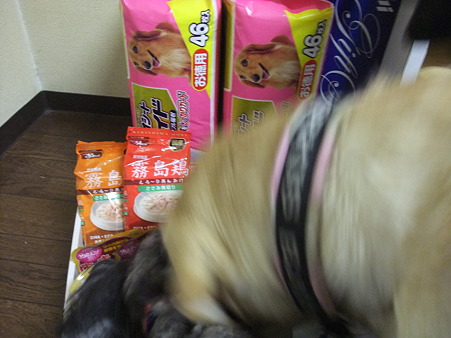 Mさん・・・おい!