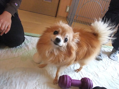 ふぅちゃん