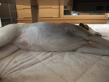 開放された感いっぱい?