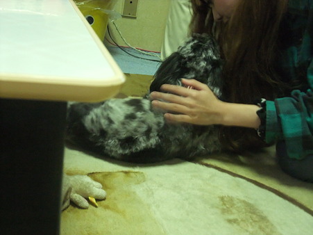 ぼんじぃちゃんに甘える春