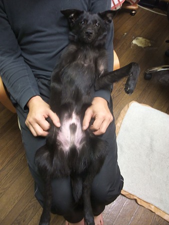 抱かれると