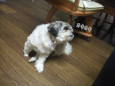 動いただけでしょ
