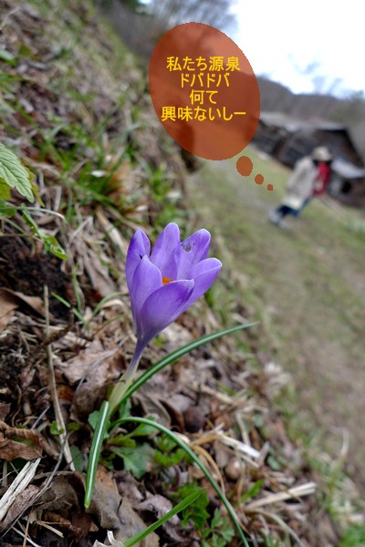 P1100555 