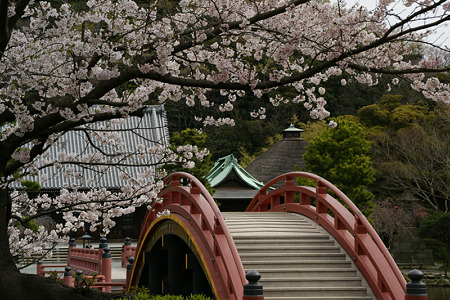 桜色、称名寺園内!(100403)