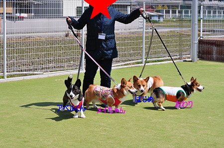 DSC_0003修正