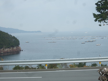 DSCF5990