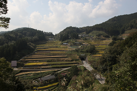 神在居の千枚田 - 3