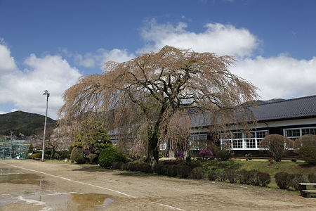 杵原学校 - 1