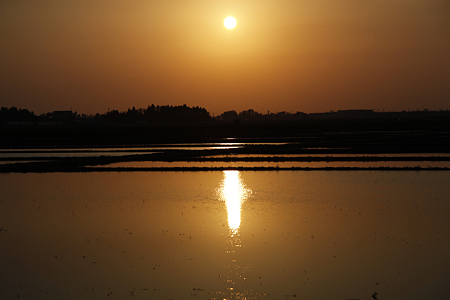 阿賀野市福井付近の夕日