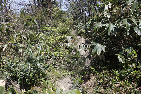 鳥坂城 - 07