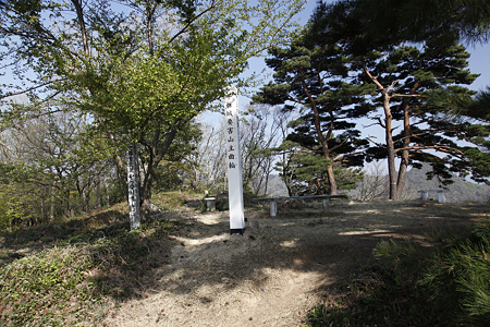 平林城〔加護山城〕 - 12