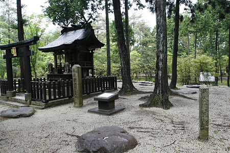 紫香楽宮跡（甲賀寺跡） - 02