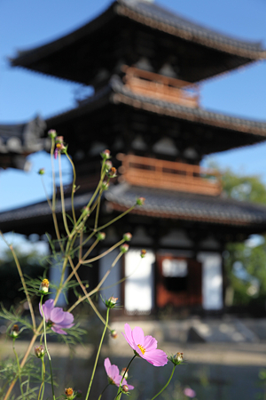 法起寺 - 07