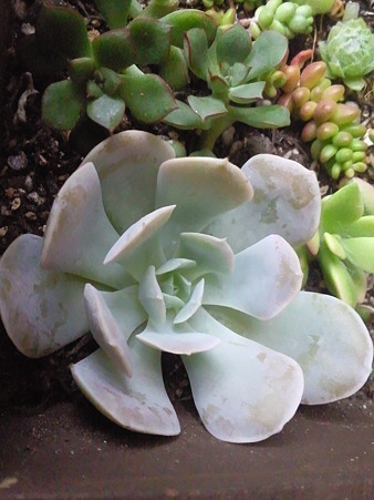 011