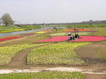 DSCN3969