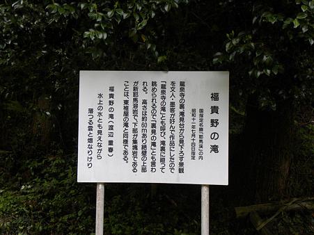 DSCN4159