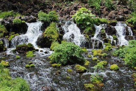 水