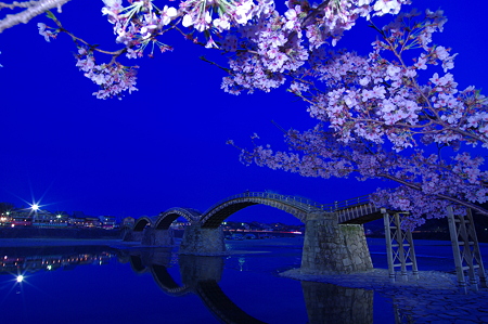 夜桜錦帯橋(1)