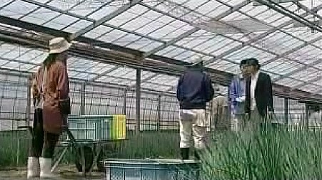財務捜査官　雨宮瑠璃子での深谷景観2