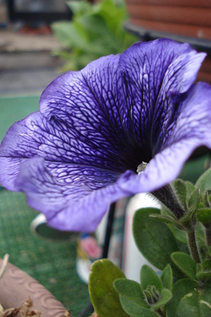 DSC09007