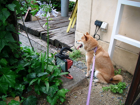 2010_07040008