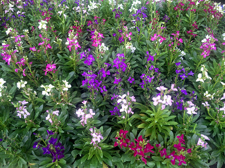 DVC00224_edited