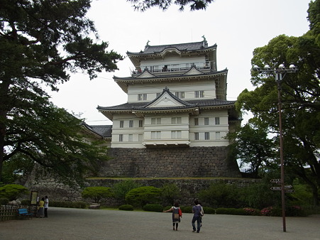 RIMG0009