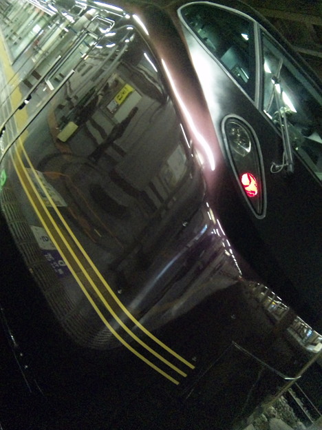 E655系電車「なごみ」 IV