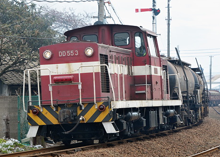 DSC_2491a