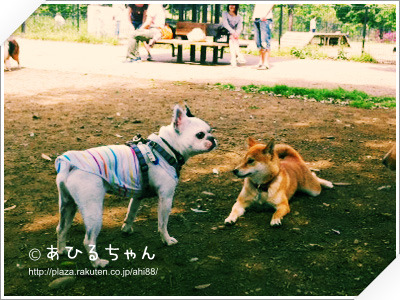 20110523_05