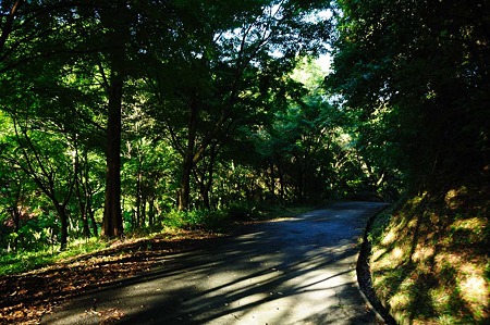 1107120644_DSC_5246
