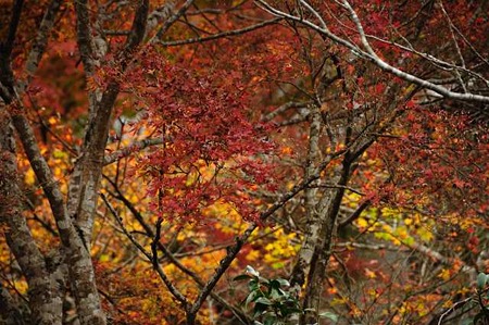 0911181042_DSC_0796