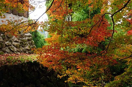 0911181100_DSC_0927