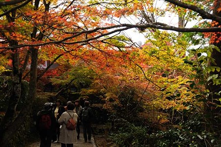 0911181102_DSC_0946