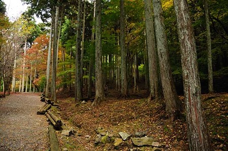 0911181212_DSC_1157