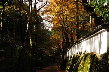 0911181237_DSC_1215