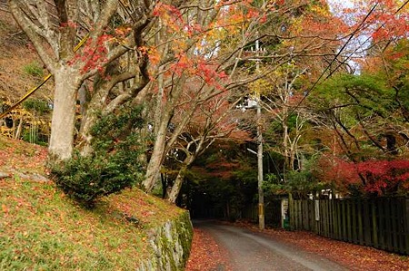 0911181323_DSC_1277