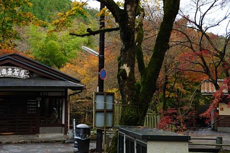 0911181503_DSC_1493