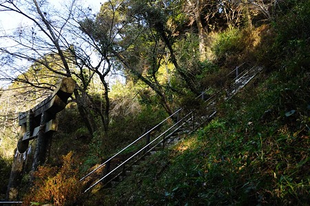 1001021028_DSC_6359