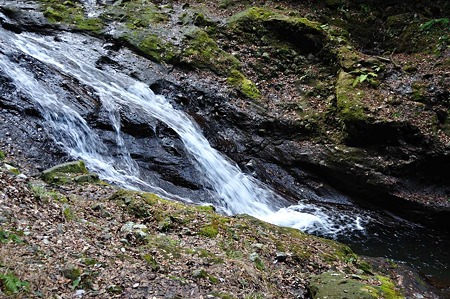 1001041529_DSC_0034