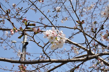 1003221121_DSC_1027